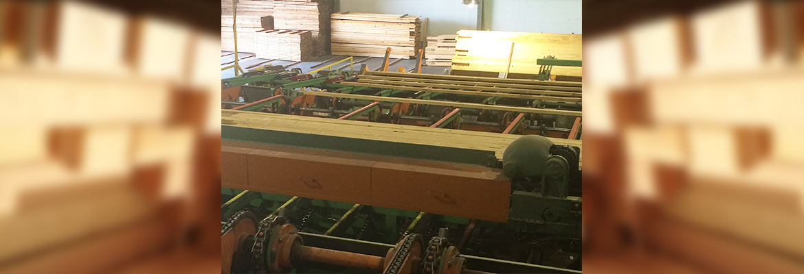 Specialty & Industrial Wood Products Remanufacturing & Distribution Facility